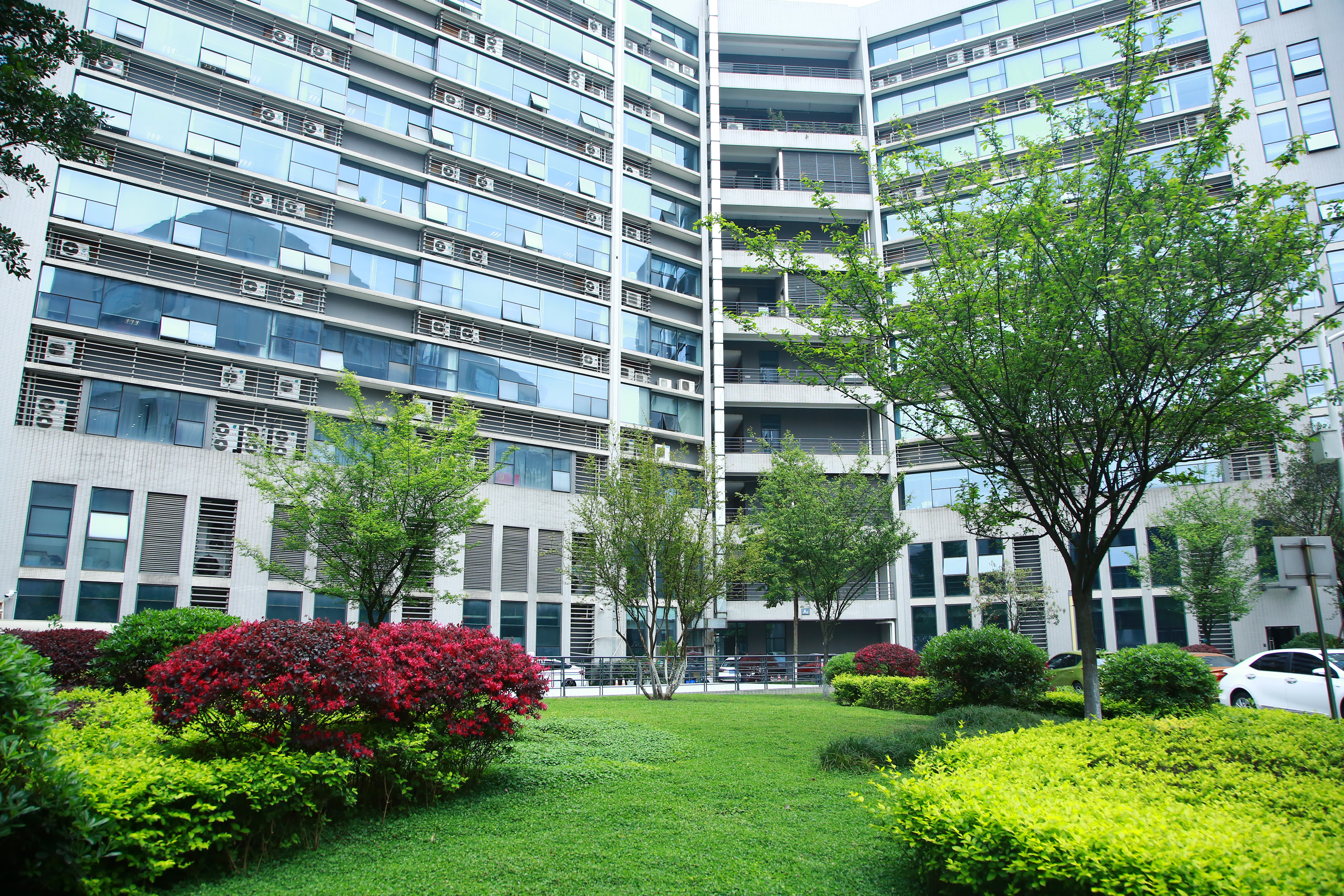 2F6D2333.JPG